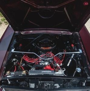 Meet your Posher, Donald